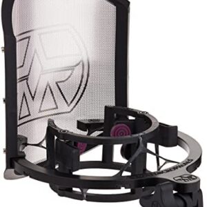 Aston Microphones Spirit Large Diaphragm Multi-Pattern Condenser Microphone - Image 7