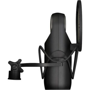 Aston Microphones Element Microphone Bundle With Shockmount and Pop Filter Black - Image 6