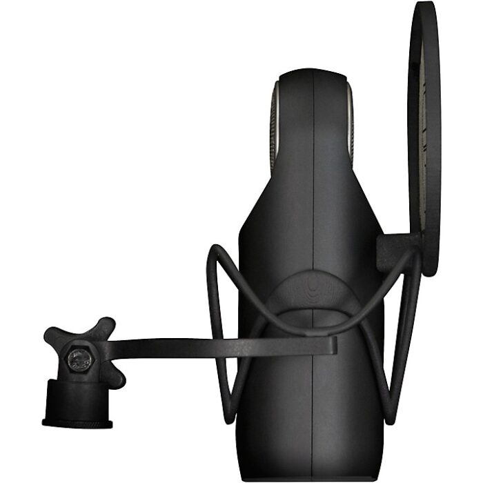 Aston Microphones Element Microphone Bundle With Shockmount and Pop Filter Black - Image 6