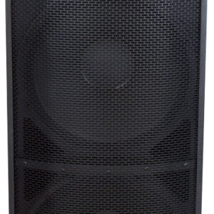 Peavey SP4 v2 4000W Dual 15 inch Passive Speaker - Image 2