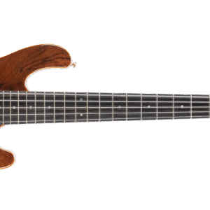 Cort jeff berlin Series 5 Strings Rithimic Bass Guitar