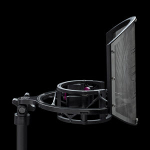 Aston Microphones Spirit Large Diaphragm Multi-Pattern Condenser Microphone - Image 6