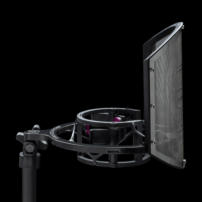 Aston Microphones Spirit Large Diaphragm Multi-Pattern Condenser Microphone - Image 6