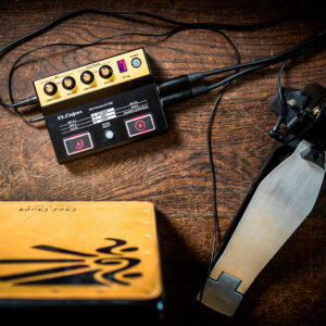 Roland EC-10M El Cajon Mic Processor - Image 2