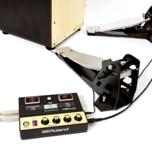 Roland EC-10M El Cajon Mic Processor - Image 5
