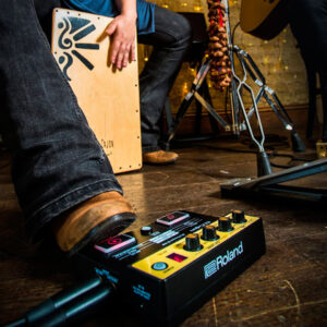 Roland EC-10M El Cajon Mic Processor - Image 4
