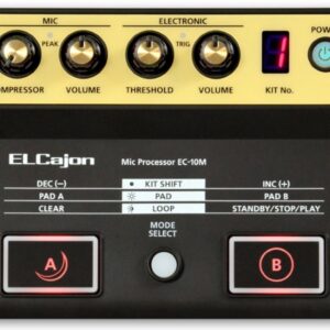 Roland EC-10M El Cajon Mic Processor