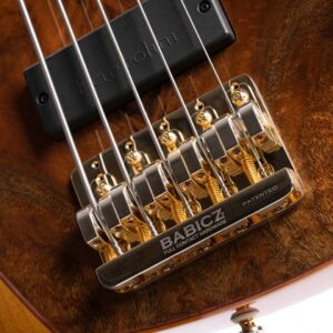 Cort jeff berlin Series 5 Strings Rithimic Bass Guitar - Image 2